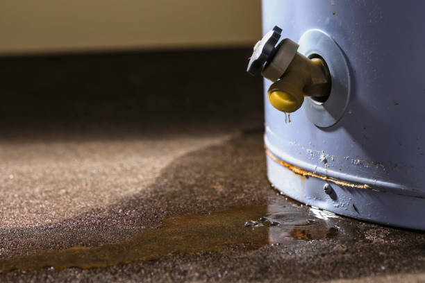 Best Ceiling water damage repair  in Scobey, MT