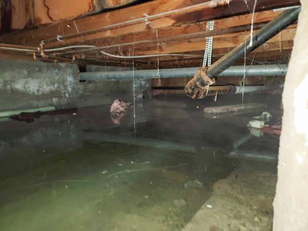 Reliable Scobey, MT Water damage restoration Solutions