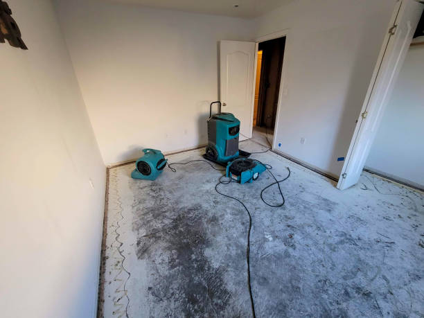 Best Emergency water damage restoration  in Scobey, MT