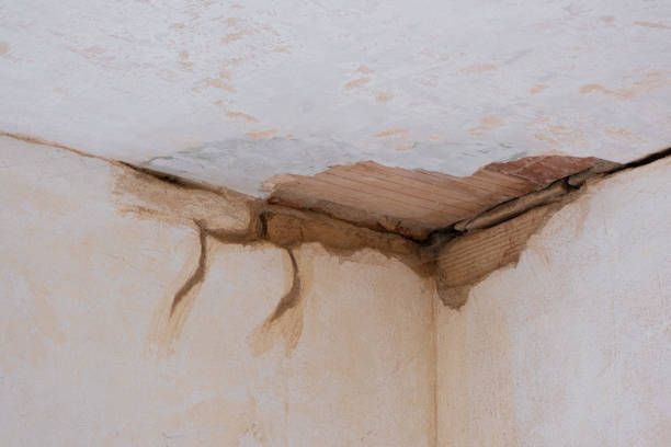  Scobey, MT Water damage restoration Pros