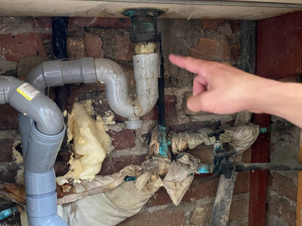 Best Flood restoration services  in Scobey, MT