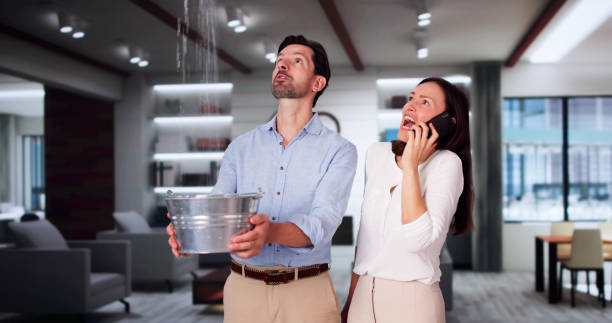 Best Emergency water damage restoration  in Scobey, MT