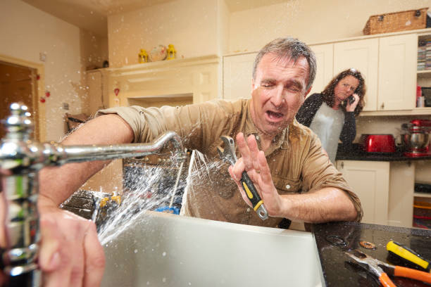 Best Flooded house restoration  in Scobey, MT